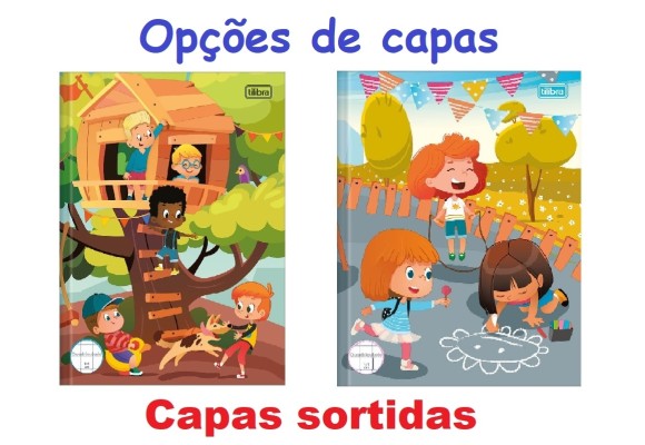 https://www.educandariovilaraposa.papelariapremium.com.br/image/cache/data/eftr/Img_ftr_rp_179101-580x400.JPG