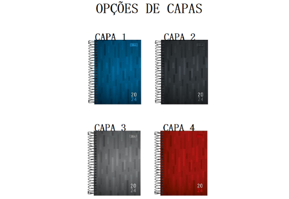https://www.educandariovilaraposa.papelariapremium.com.br/image/cache/data/eftr/Img_ftr_rp_408701-580x400.PNG