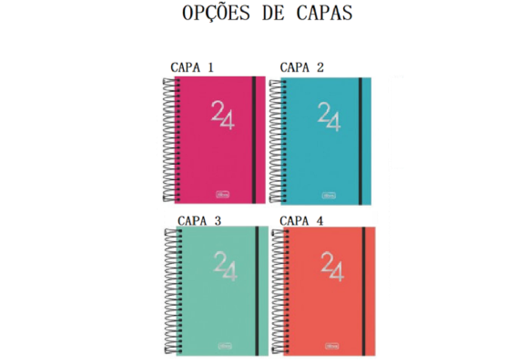 https://www.educandariovilaraposa.papelariapremium.com.br/image/cache/data/eftr/Img_ftr_rp_411301-580x400.PNG